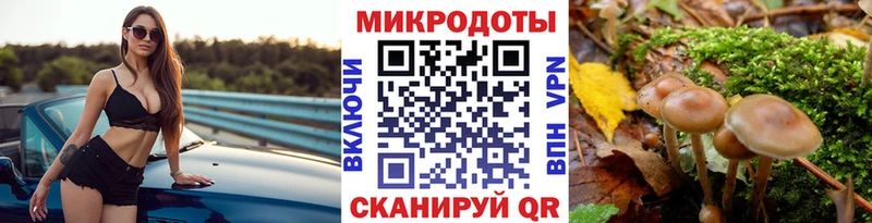 mega как войти  магазин  наркотиков  Нефтекумск  Псилоцибиновые грибы GOLDEN TEACHER 